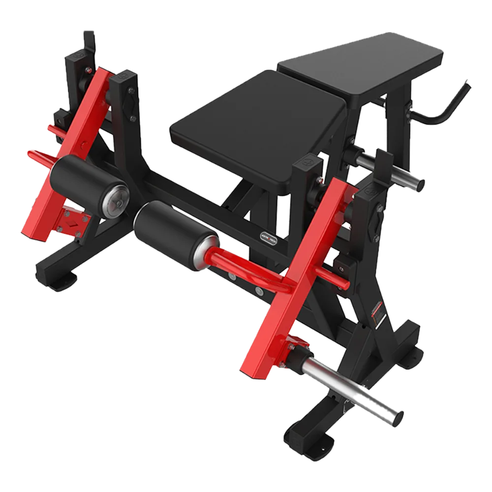 Mesa Flexora
